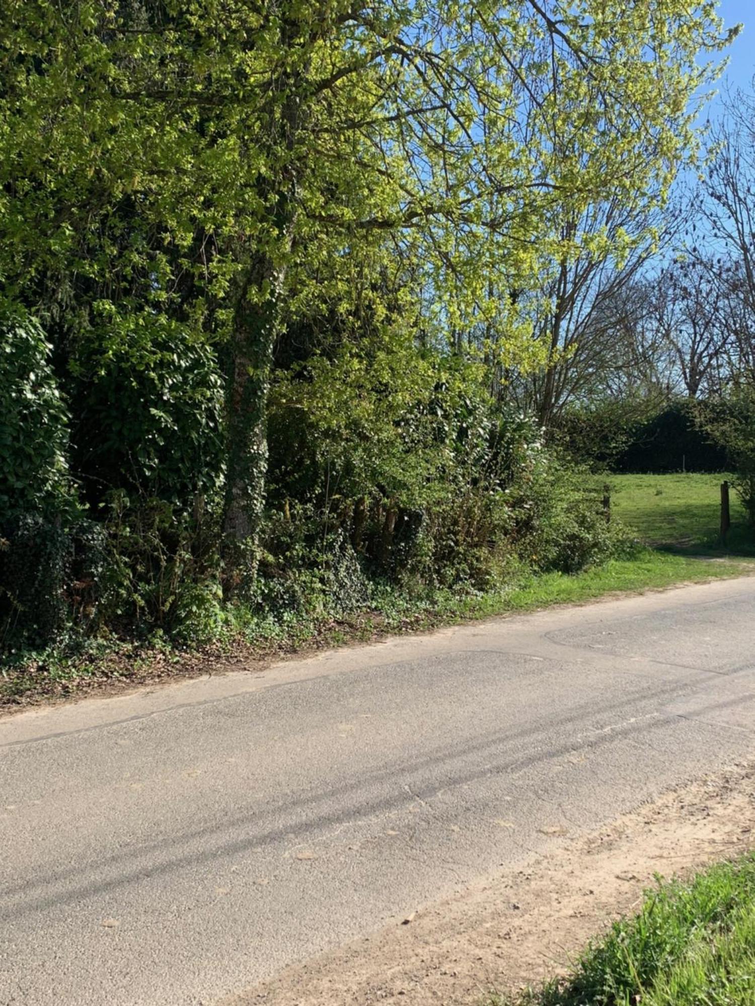Sur Cote En Dombes Villa Villette-sur-Ain Eksteriør billede