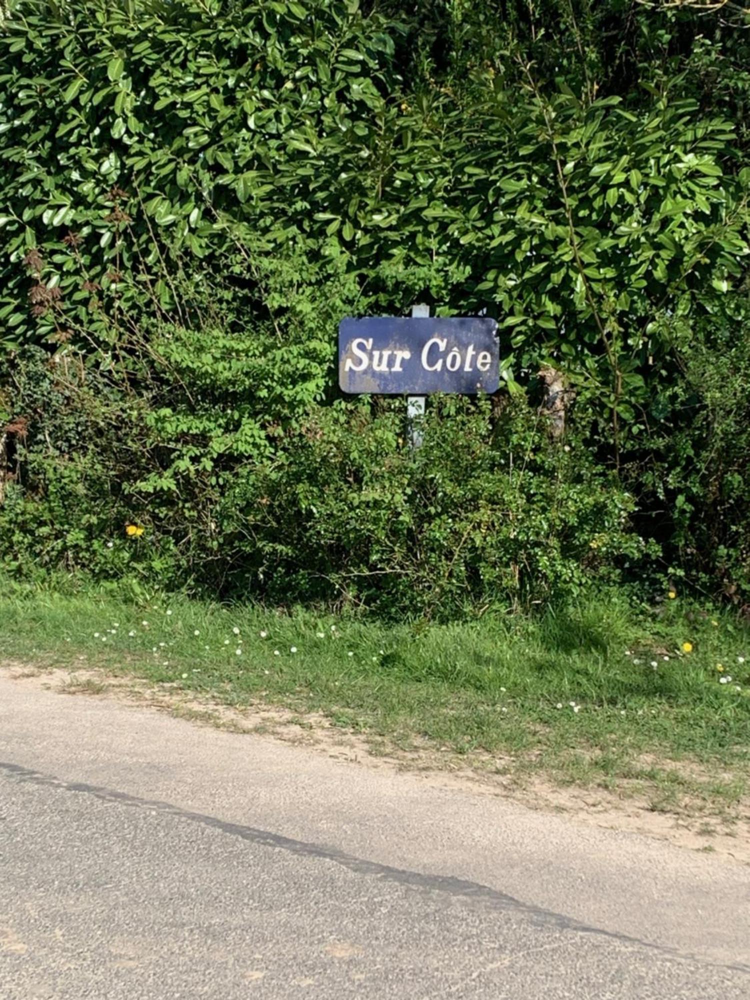 Sur Cote En Dombes Villa Villette-sur-Ain Eksteriør billede